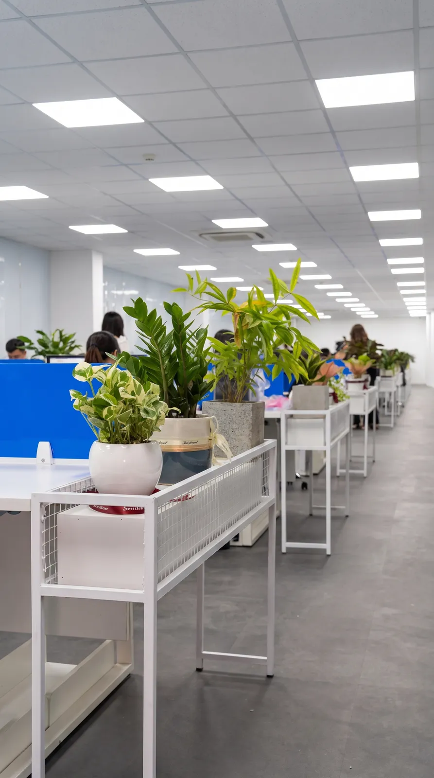 Thi công Kho kết hợp Văn phòng BCA Solutions — ảnh 9